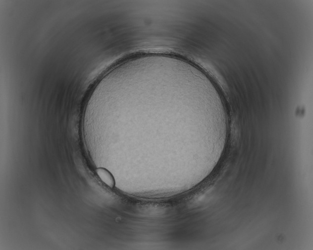 X0000092110533200710101145