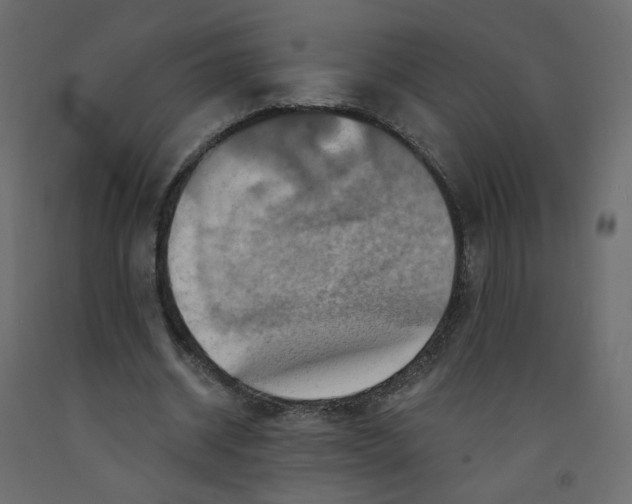 X0000092110534200710101145