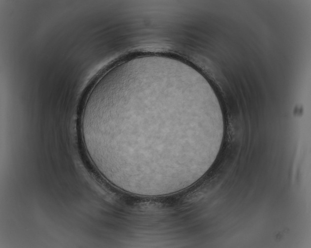 X0000092110535200710101145