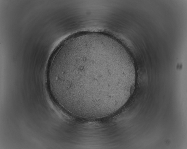 X0000092110536200710101145