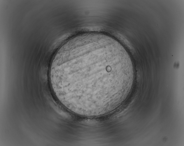 X0000092110537200710101145