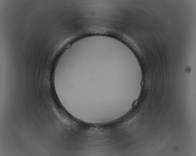 X0000092110538200710101145