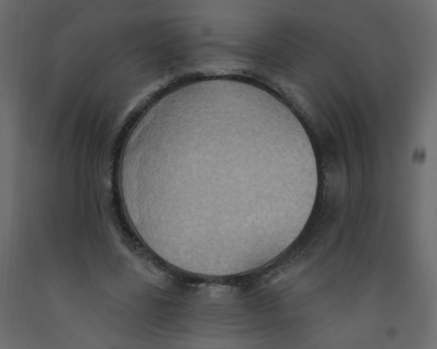 X0000092110539200710101145