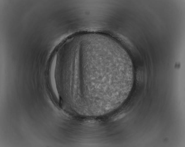 X0000092110540200710101145
