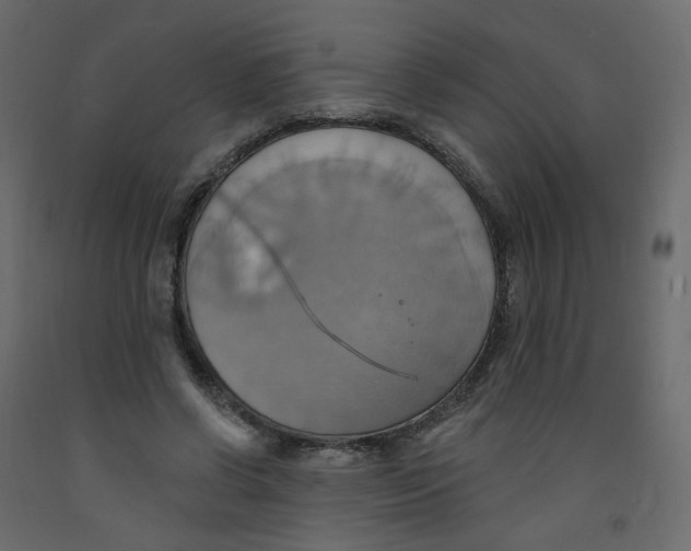 X0000092110542200710101145