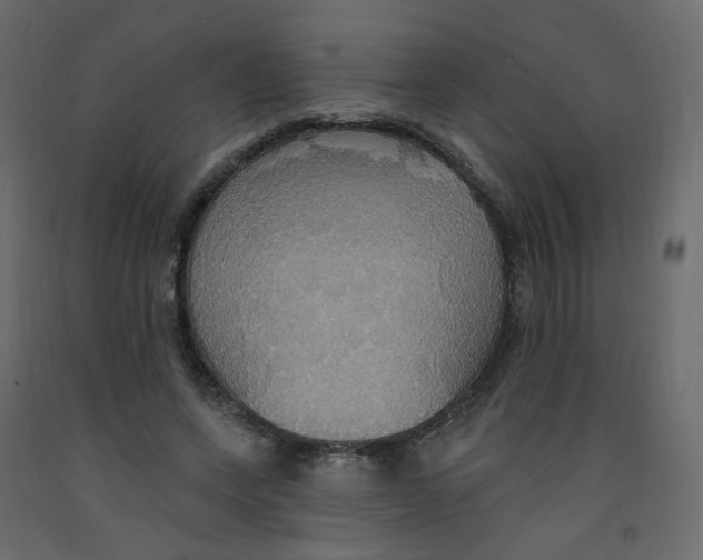 X0000092110543200710101145