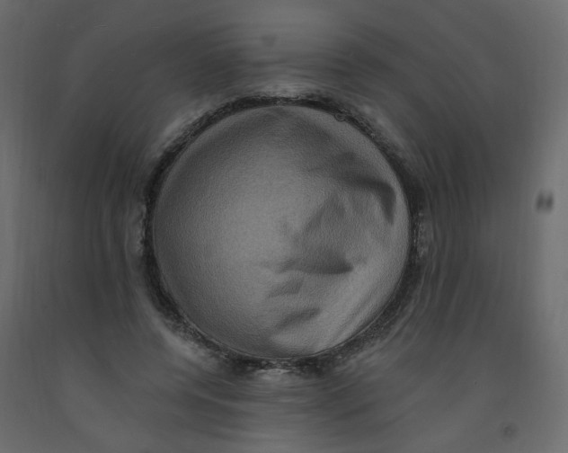 X0000092110544200710101145