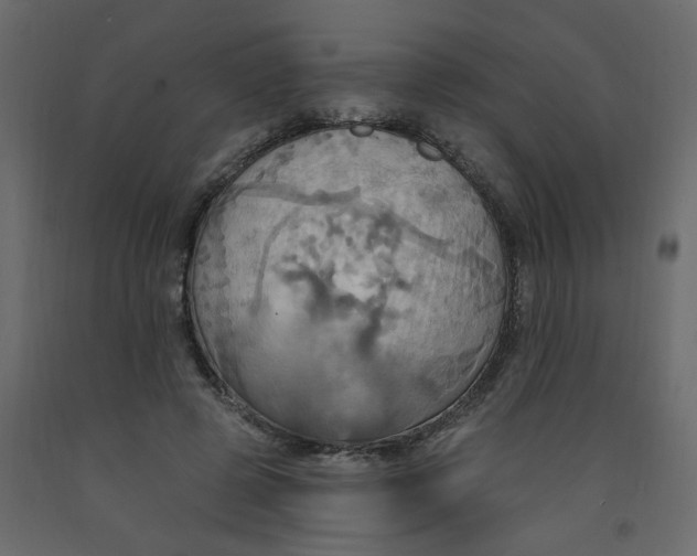 X0000092110545200710101145