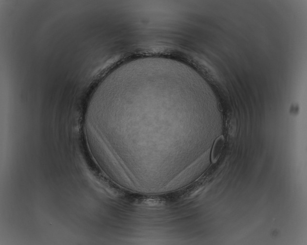 X0000092110546200710101145