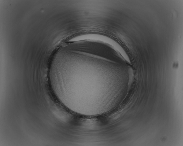 X0000092110548200710101145