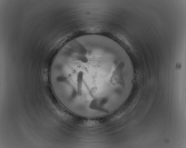 X0000092110549200710101145