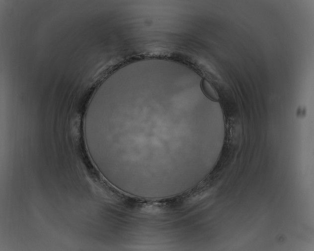 X0000092110550200710101145