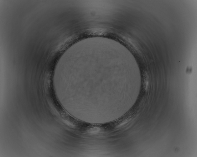 X0000092110551200710101145