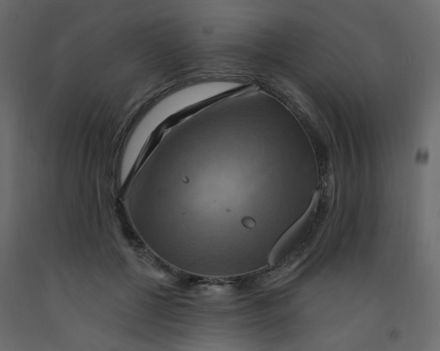 X0000092110552200710101145