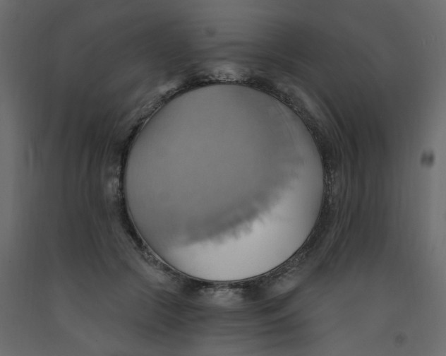 X0000092110553200710101145