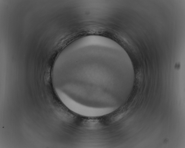 X0000092110554200710101145
