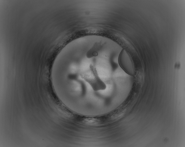 X0000092110557200710101145