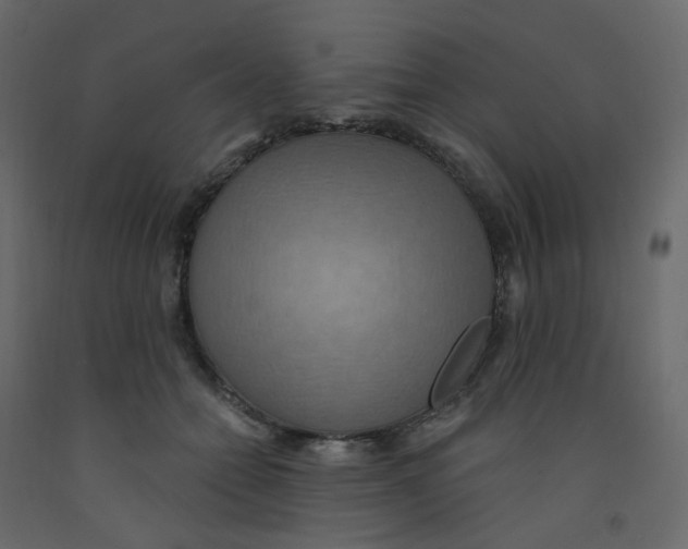 X0000092110558200710101145