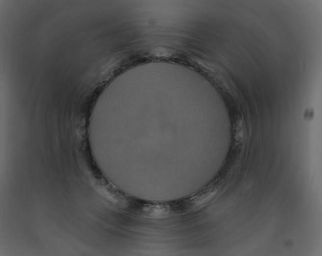 X0000092110559200710101145