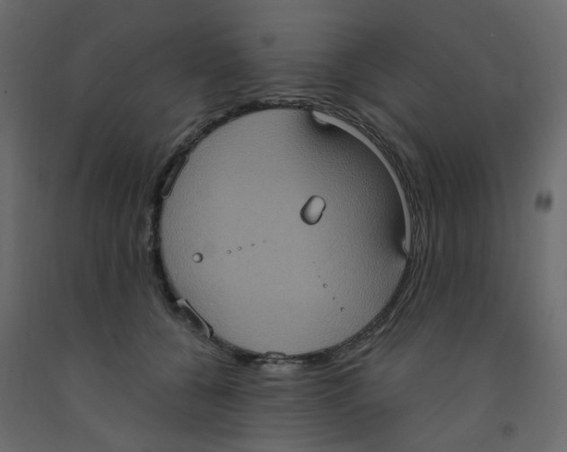 X0000092110560200710101146