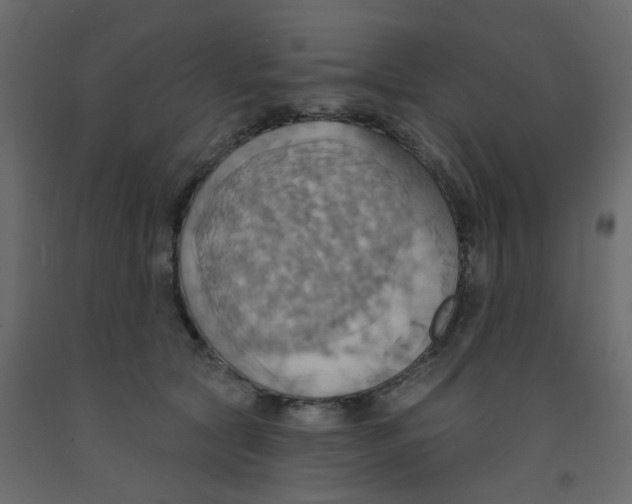 X0000092110561200710101146