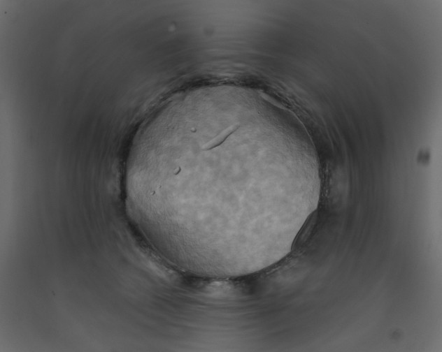 X0000092110562200710101146
