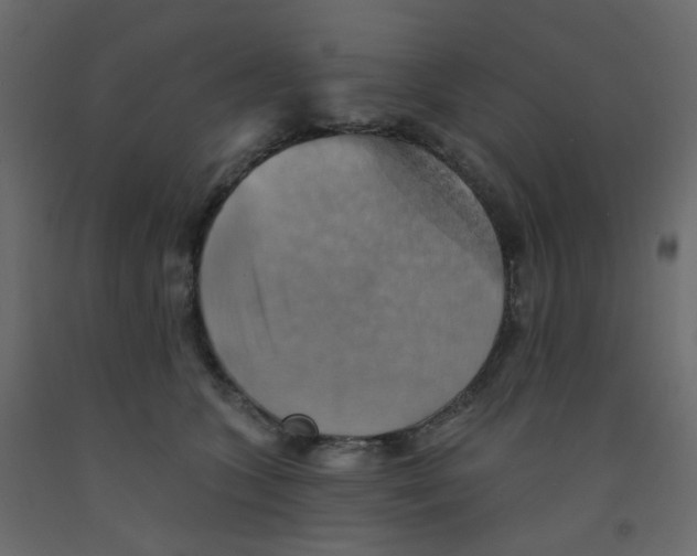 X0000092110563200710101146