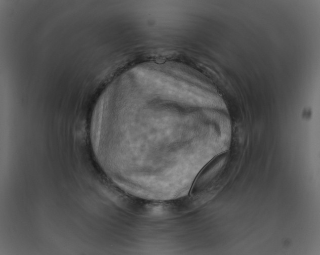 X0000092110564200710101146