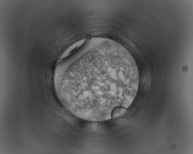 X0000092110565200710101146