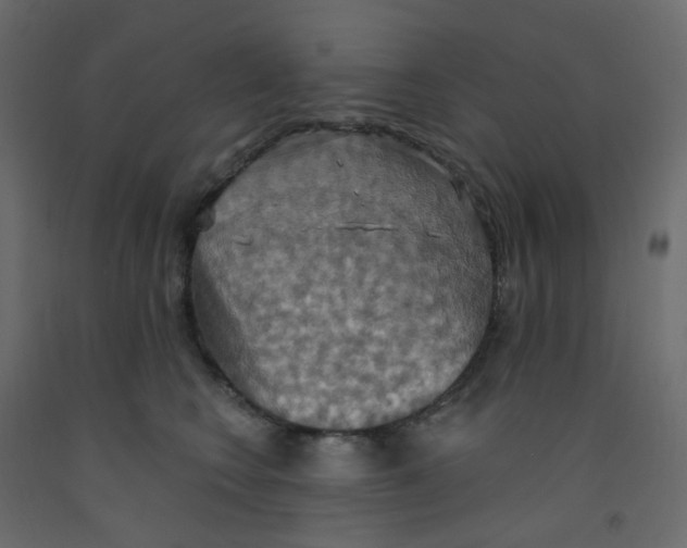 X0000092110566200710101146