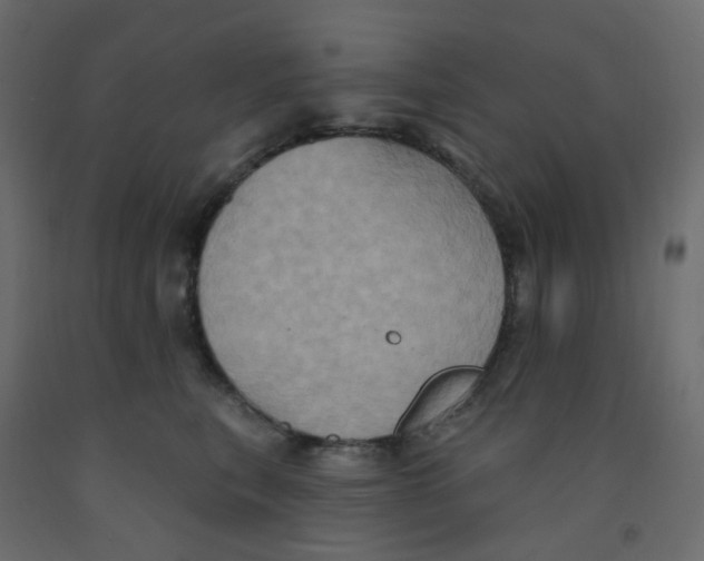 X0000092110567200710101146