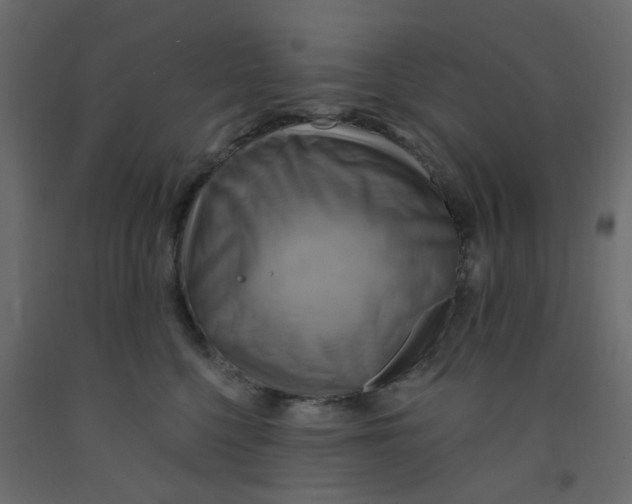 X0000092110568200710101146
