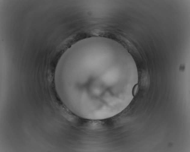X0000092110569200710101146