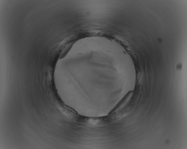 X0000092110570200710101146