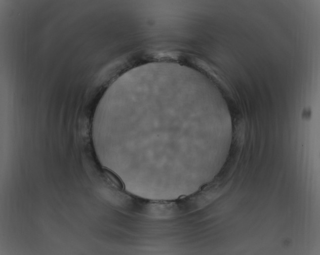 X0000092110571200710101146
