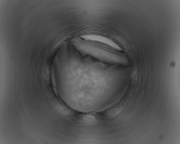 X0000092110572200710101146