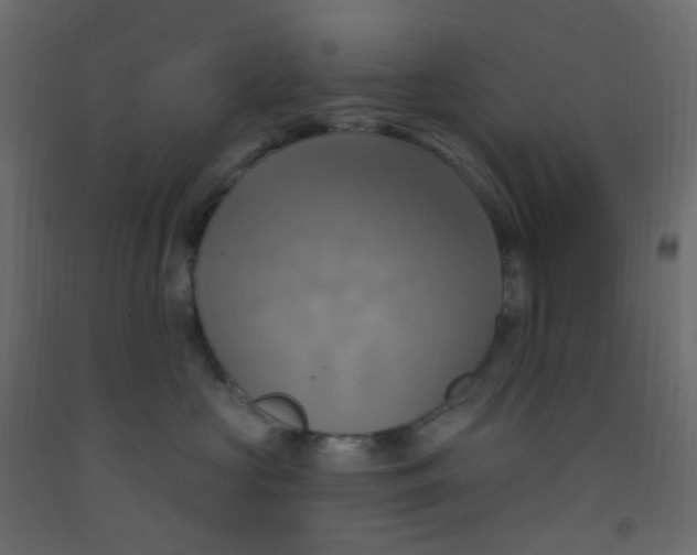 X0000092110573200710101146