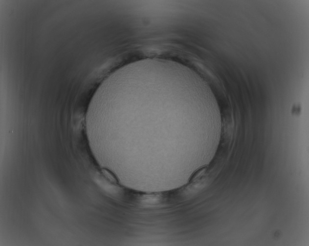X0000092110574200710101146