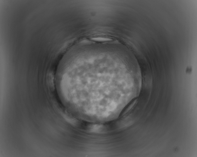 X0000092110575200710101146