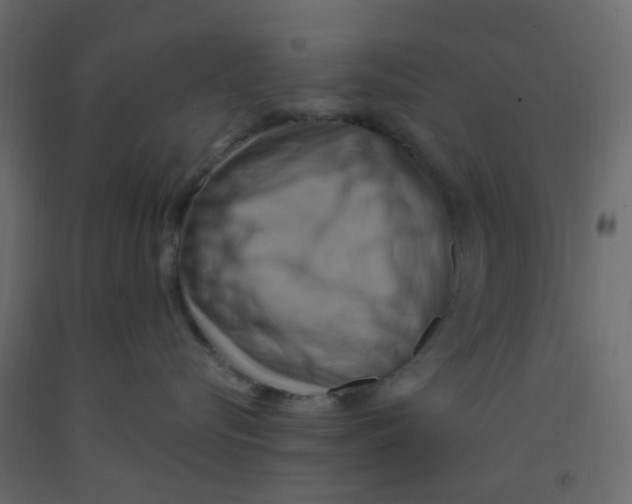 X0000092110576200710101146