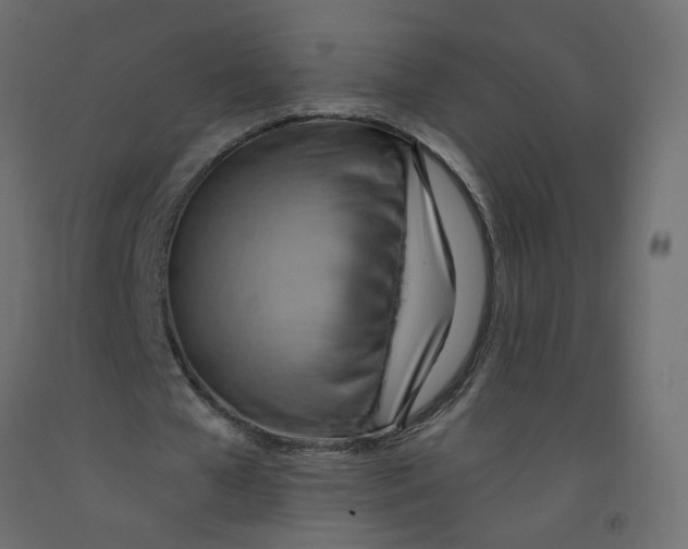 X0000092110577200710101145