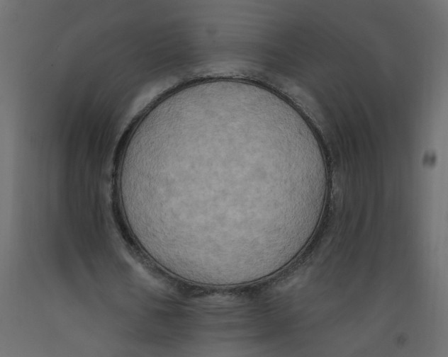 X0000092110578200710101145