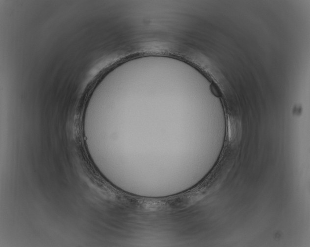X0000092110579200710101145