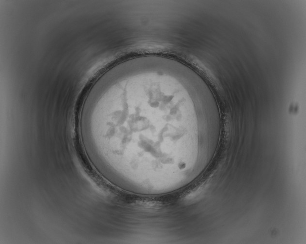 X0000092110582200710101145