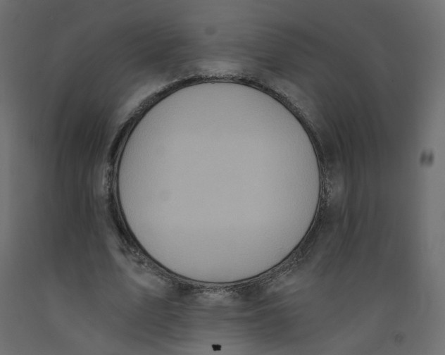 X0000092110583200710101145