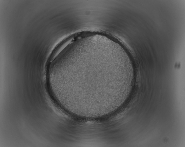 X0000092110584200710101145