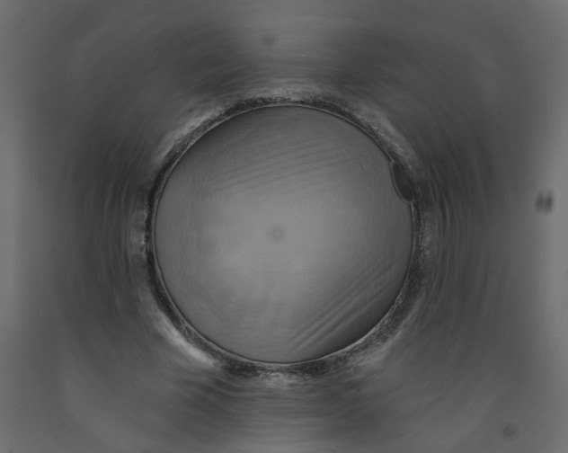 X0000092110585200710101145