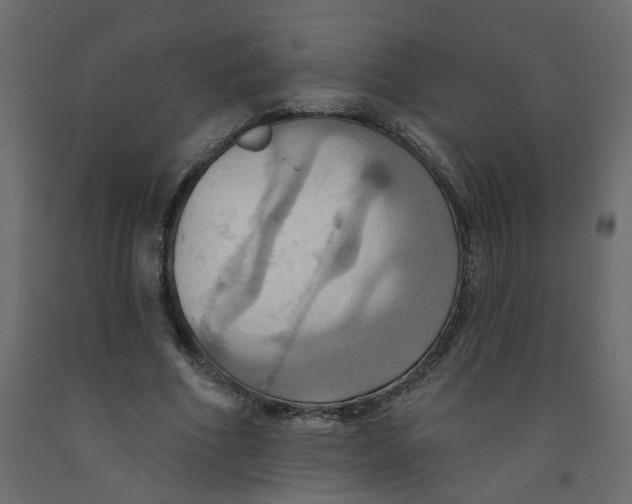 X0000092110586200710101145