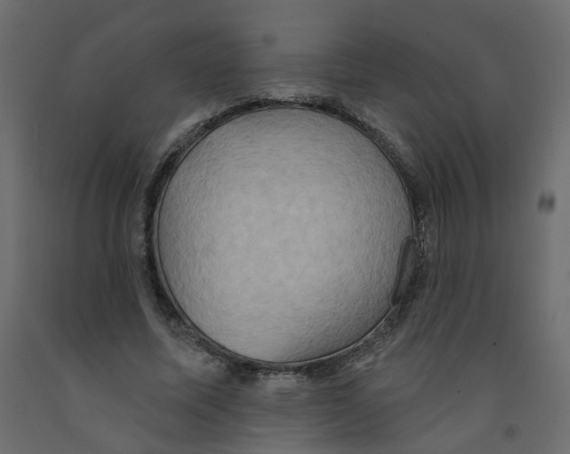 X0000092110587200710101145