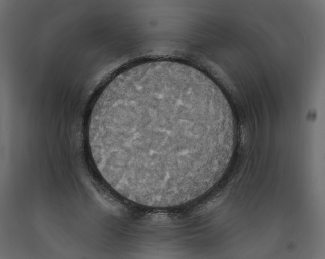 X0000092110588200710101145